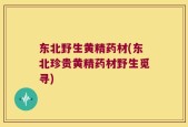 东北野生黄精药材(东北珍贵黄精药材野生觅寻)