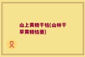 山上黄精干枯(山林干旱黄精枯萎)