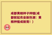 成都黄精种子种植(成都掀起农业新热潮：黄精种植成新宠！)