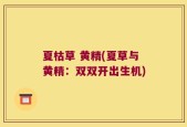 夏枯草 黄精(夏草与黄精：双双开出生机)