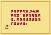 多花黄精嫩苗(多花黄精嫩苗：生长慢却品质佳，助您打造健康生活的美好选择)