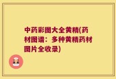 中药彩图大全黄精(药材图谱：多种黄精药材图片全收录)