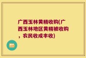 广西玉林黄精收购(广西玉林地区黄精被收购，农民收成丰收)