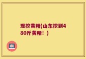 现挖黄精(山东挖到480斤黄精！)