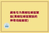 藏有引力黄精牡蛎低聚肽(黄精牡蛎低聚肽的神奇功能解密)