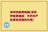 池州种植黄精园(池州种植黄精园：中药材产业蓬勃发展的代表)