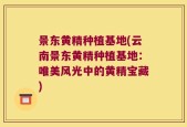景东黄精种植基地(云南景东黄精种植基地：唯美风光中的黄精宝藏)