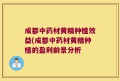 成都中药材黄精种植效益(成都中药材黄精种植的盈利前景分析