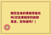 刚挖出来的黄精芽能吃吗(挖出黄精芽的新鲜用途，你知道吗？)