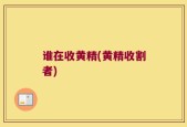 谁在收黄精(黄精收割者)