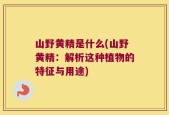 山野黄精是什么(山野黄精：解析这种植物的特征与用途)