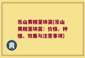 乐山黄精茎块苗(乐山黄精茎块苗：价格、种植、效果与注意事项)
