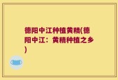 德阳中江种植黄精(德阳中江：黄精种植之乡)