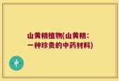 山黄精植物(山黄精：一种珍贵的中药材料)