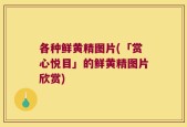 各种鲜黄精图片(「赏心悦目」的鲜黄精图片欣赏)