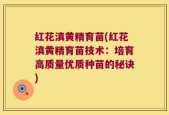红花滇黄精育苗(红花滇黄精育苗技术：培育高质量优质种苗的秘诀)