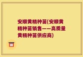 安顺黄精种苗(安顺黄精种苗销售——高质量黄精种苗供应商)