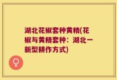 湖北花椒套种黄精(花椒与黄精套种：湖北一新型耕作方式)