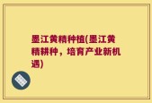 墨江黄精种植(墨江黄精耕种，培育产业新机遇)