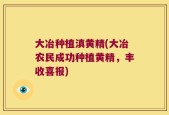 大冶种植滇黄精(大冶农民成功种植黄精，丰收喜报)