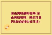 深山黄精最新视频(深山黄精视频：揭示珍贵药材的独特生长环境)