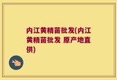 内江黄精苗批发(内江黄精苗批发 原产地直供)