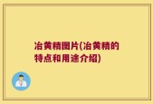 冶黄精图片(冶黄精的特点和用途介绍)