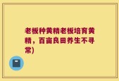 老板种黄精老板培育黄精，百亩良田养生不寻常)