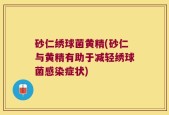 砂仁绣球菌黄精(砂仁与黄精有助于减轻绣球菌感染症状)