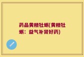 药品黄精牡蛎(黄精牡蛎：益气补肾好药)