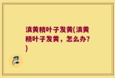 滇黄精叶子发黄(滇黄精叶子发黄，怎么办？)