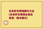 日本野生黄精图片大全(日本野生黄精全貌近距离：图文展示)
