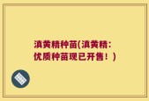 滇黄精种苗(滇黄精：优质种苗现已开售！)
