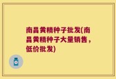 南昌黄精种子批发(南昌黄精种子大量销售，低价批发)