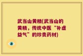 武当山黄精(武当山的黄精，传统中医“补虚益气”的珍贵药材)