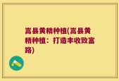 嵩县黄精种植(嵩县黄精种植：打造丰收致富路)