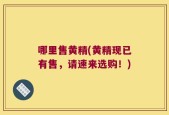 哪里售黄精(黄精现已有售，请速来选购！)