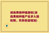 湖南黄精种植回收(湖南黄精种植产业步入回收期，农民收益增加)