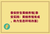 泰安野生黄精养殖(泰安实践：黄精养殖有成，助力生态环境改善)