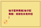 柚子套种黄精(柚子配黄精：双绿生长有妙招)