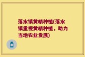落水镇黄精种植(落水镇重视黄精种植，助力当地农业发展)