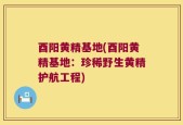 酉阳黄精基地(酉阳黄精基地：珍稀野生黄精护航工程)