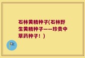 石林黄精种子(石林野生黄精种子——珍贵中草药种子！)