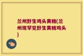 兰州野生鸡头黄精(兰州现罕见野生黄精鸡头)