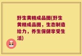 野生黄精成品图(野生黄精成品图，生态制造给力，养生保健享受生活)
