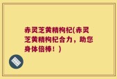 赤灵芝黄精枸杞(赤灵芝黄精枸杞合力，助您身体倍棒！)