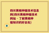 四川黄精种植技术信息网(四川黄精种植技术网站 - 了解黄精种植知识的好去处)