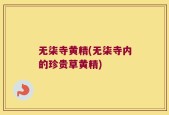 无柒寺黄精(无柒寺内的珍贵草黄精)