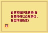 自然繁殖野生黄精(野生黄精得以自然繁衍，生态环境稳定)