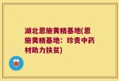湖北恩施黄精基地(恩施黄精基地：珍贵中药材助力扶贫)